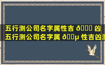 五行测公司名字属性吉 🕊 凶（五行测公司名字属 🐵 性吉凶测算）